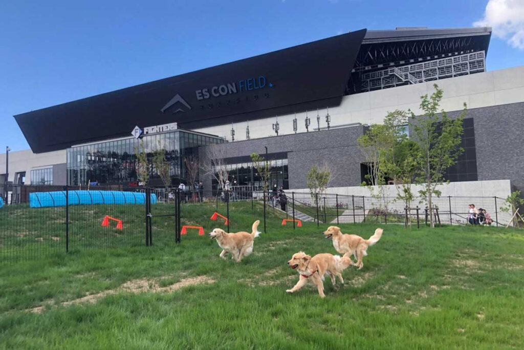 ドッグラン（ユニ・チャーム DOG PARK）